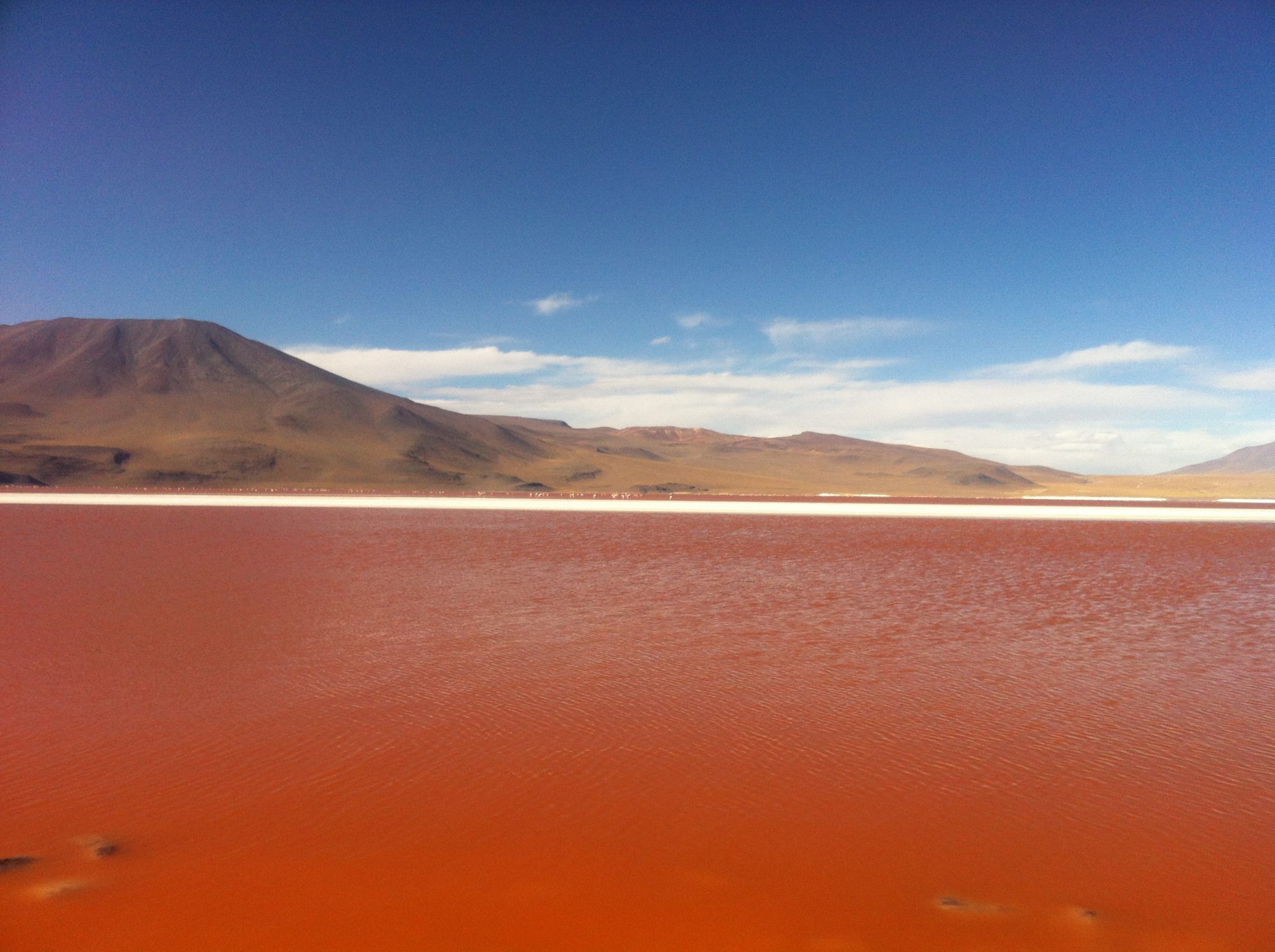 Img post laguna colorada2 Salar de Uyuni-Pasaporte y Millas