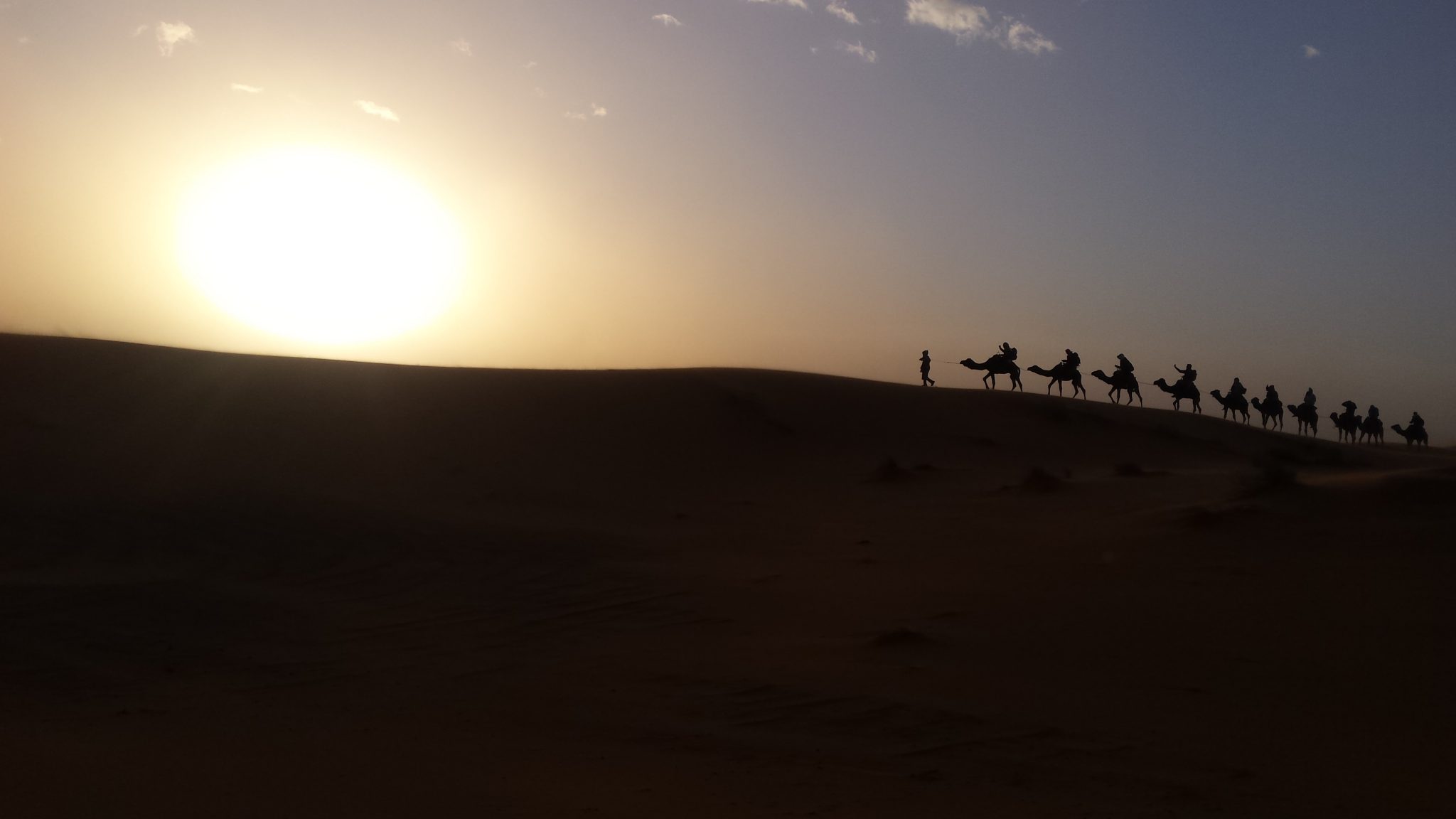 Img post Maltrato Camellos Marruecos. Qué saber antes de viajar a Marruecos- Pasaporte y Millas